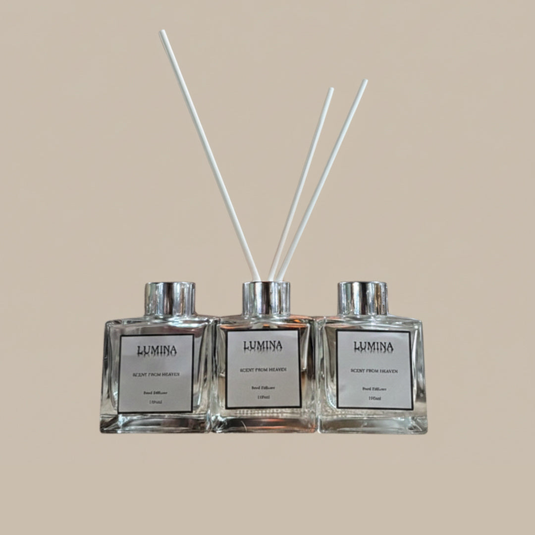 Reed Diffuser 100ML