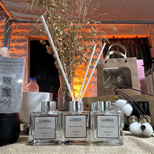 Reed Diffuser 100ML